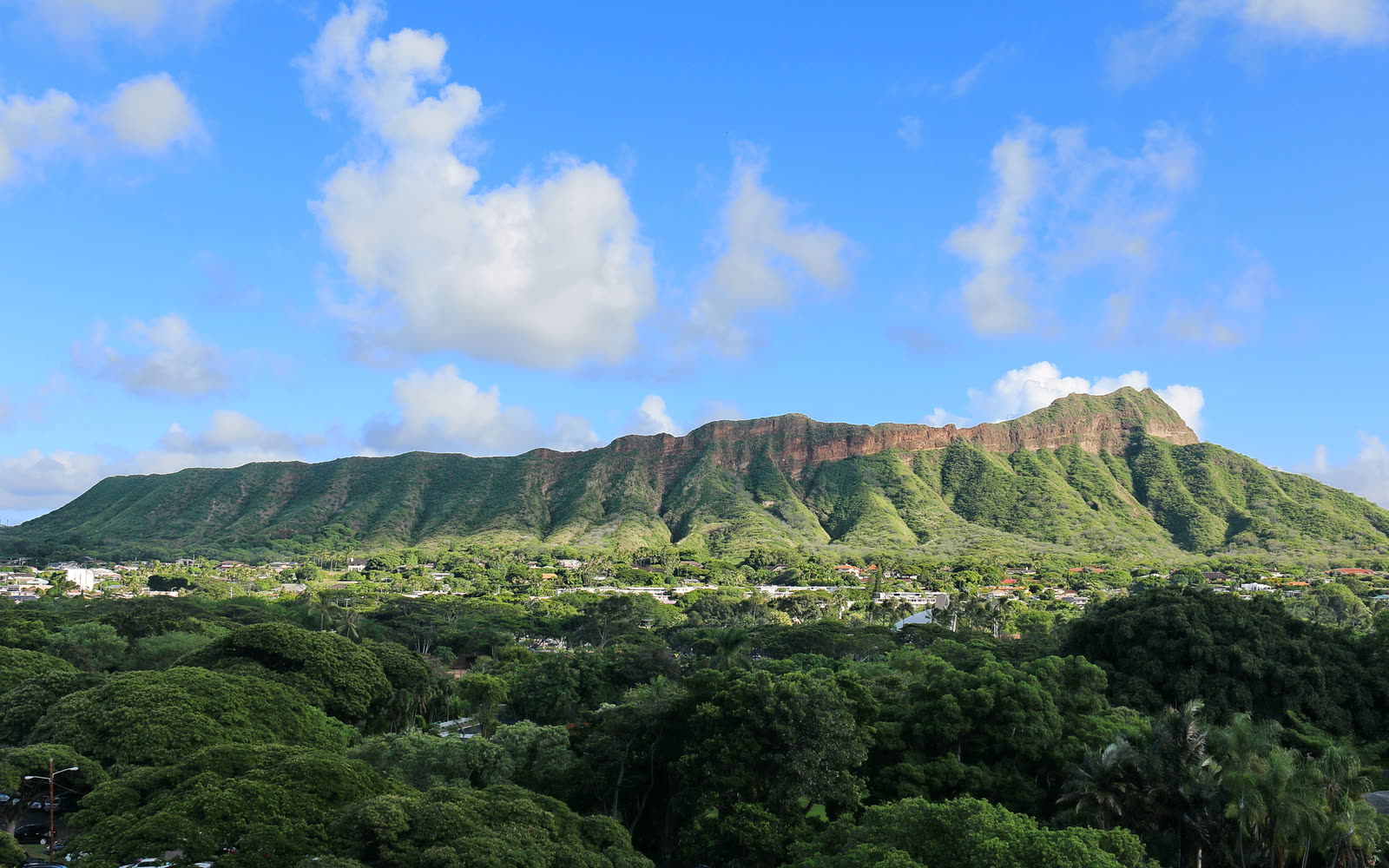 Diamond Head rising above the green neighborhoods of east Honolulu